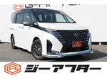 SERENA WG