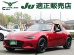 ROADSTER RF