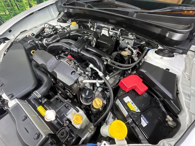 EXIGA CROSSOVER 7