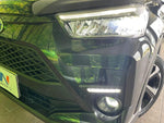 RAIZE HYBRID
