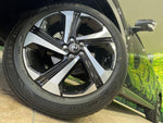 RAIZE HYBRID