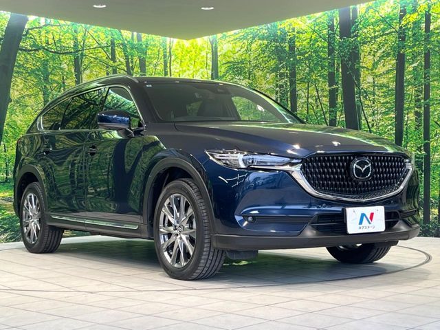 CX-8