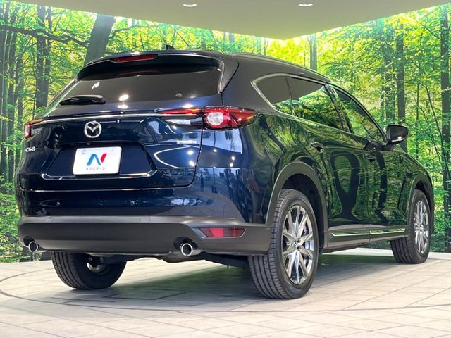 CX-8