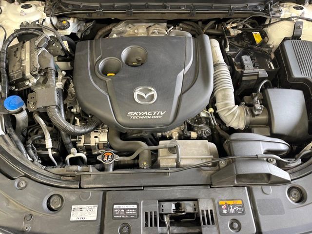 CX-8