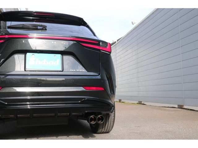 LEXUS NX350h