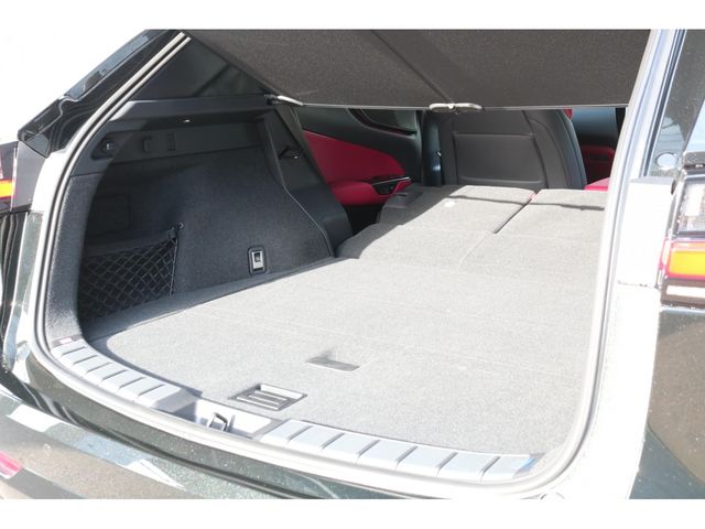 LEXUS NX350h