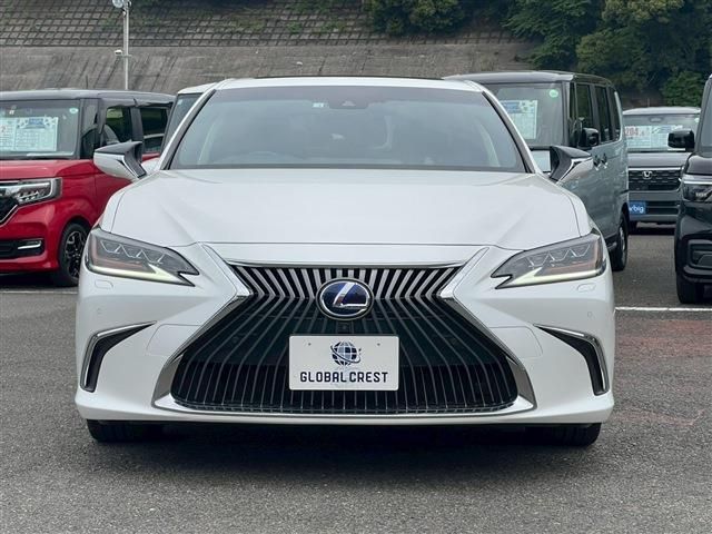 LEXUS ES300h