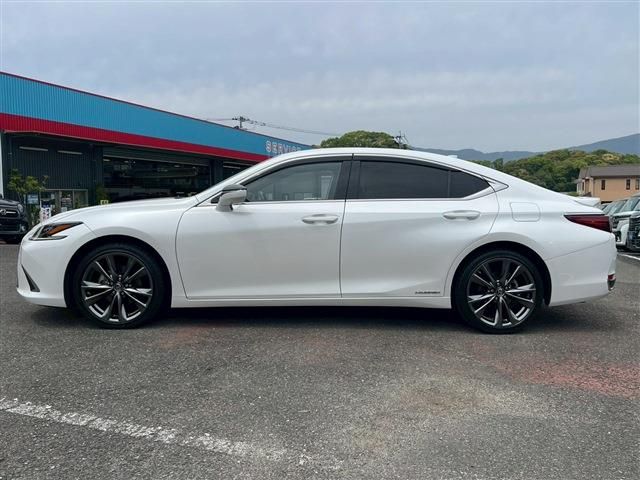LEXUS ES300h