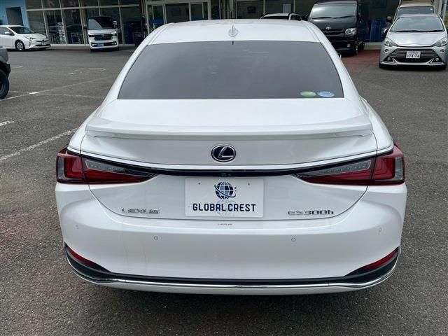 LEXUS ES300h