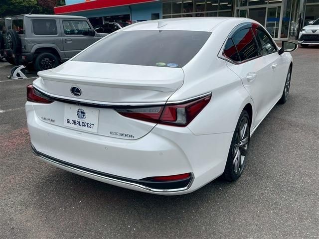 LEXUS ES300h