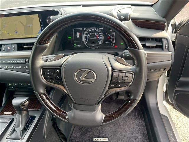 LEXUS ES300h