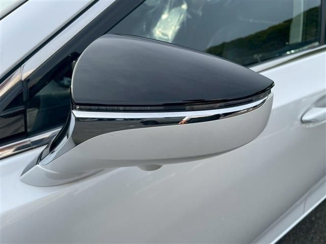 LEXUS ES300h