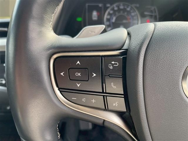 LEXUS ES300h