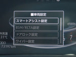 RAIZE