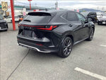 LEXUS NX350h AWD
