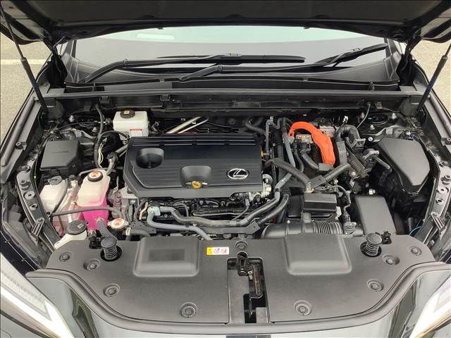 LEXUS NX350h AWD