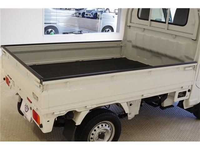 CARRY truck