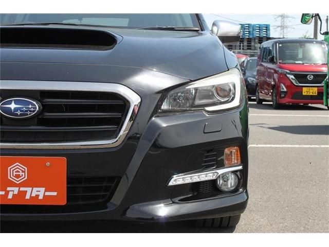 LEVORG