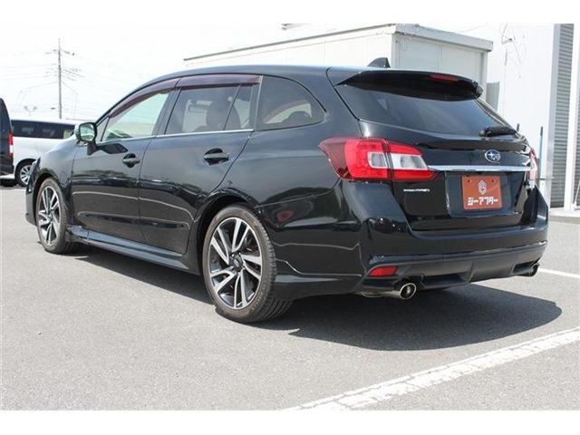 LEVORG