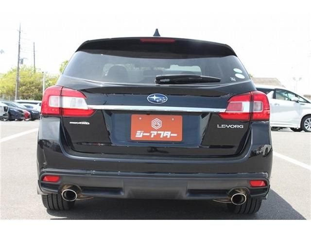 LEVORG