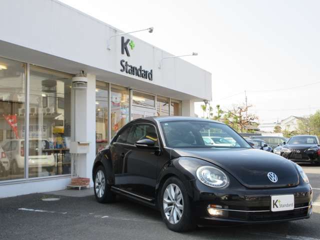 VOLKSWAGEN The BEETLE