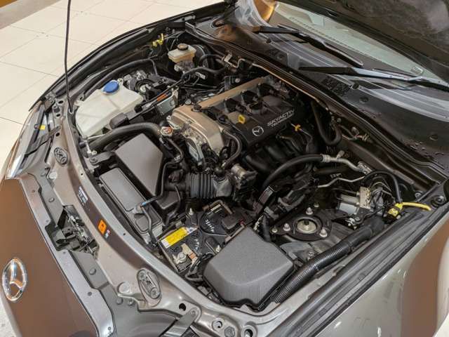 ROADSTER RF