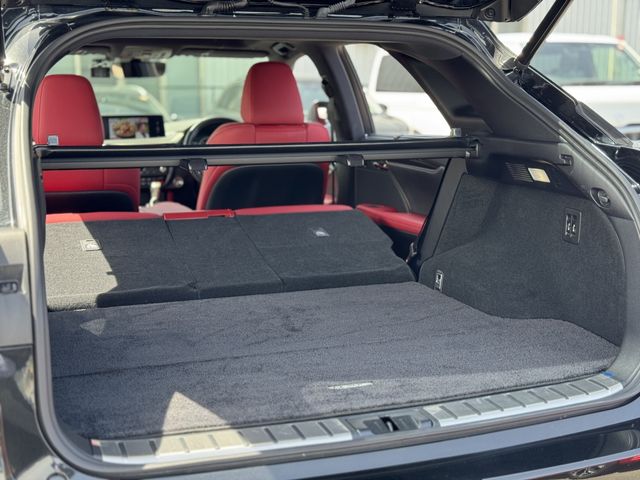 LEXUS RX300
