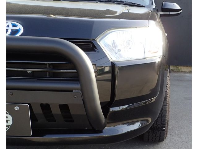PROBOX van HYBRID