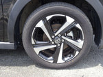 RAIZE HYBRID