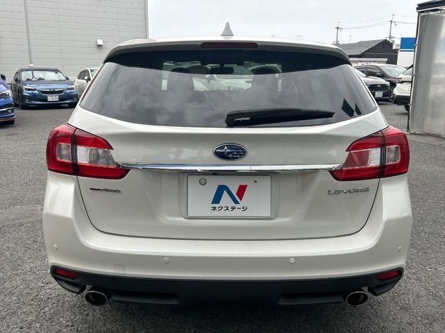 LEVORG