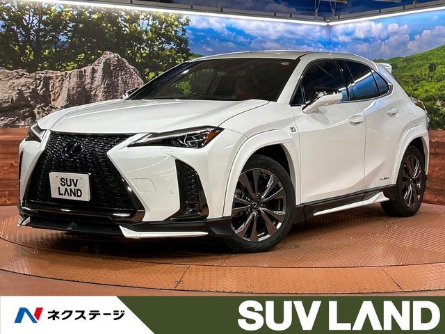LEXUS UX250h