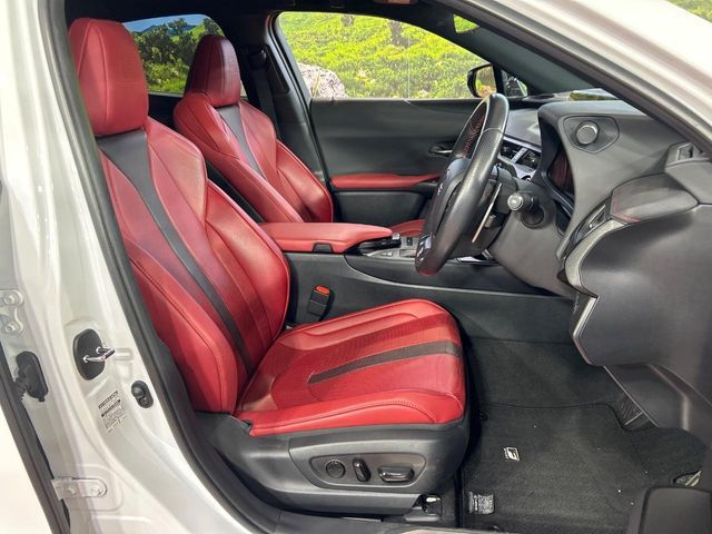 LEXUS UX250h