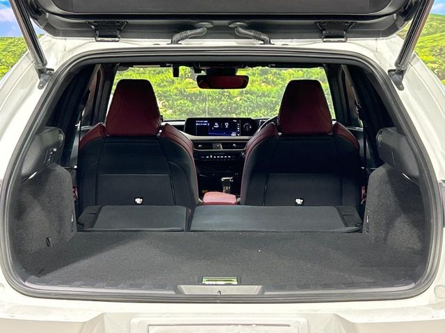 LEXUS UX250h