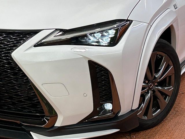 LEXUS UX250h