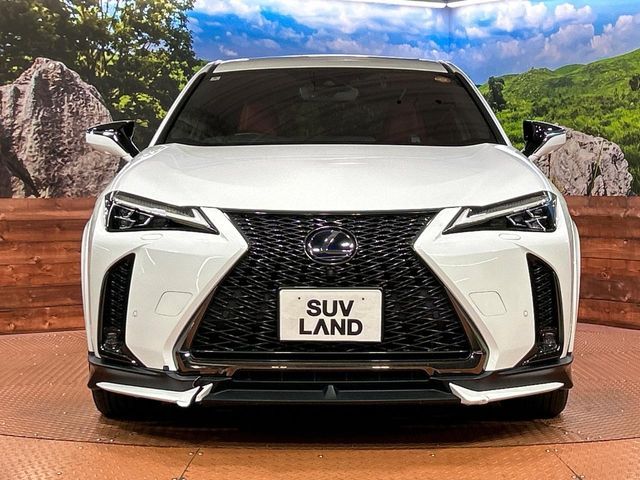 LEXUS UX250h