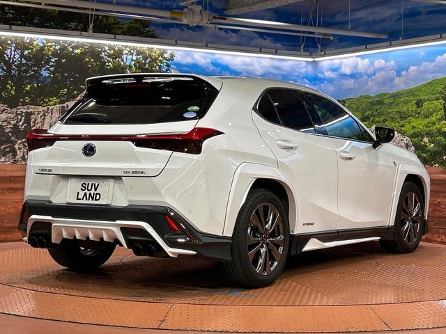 LEXUS UX250h