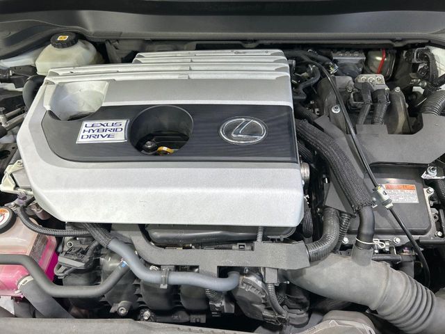 LEXUS UX250h
