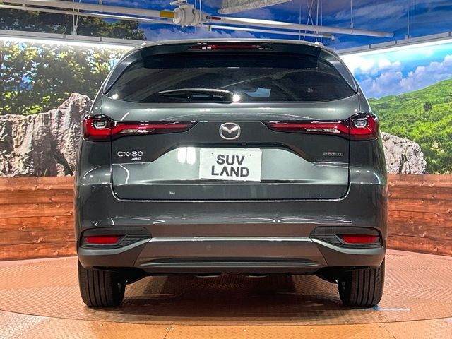 CX-80
