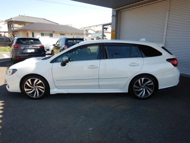 LEVORG