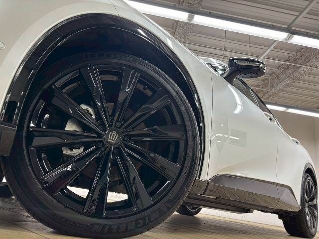 CROWN SPORT