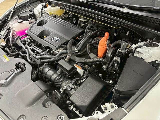 CROWN SPORT