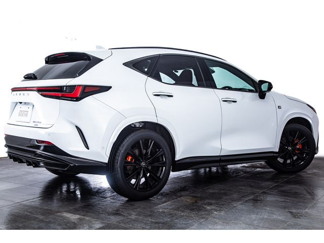 LEXUS NX350h AWD