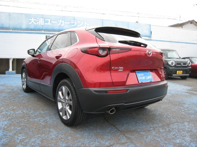 CX-30