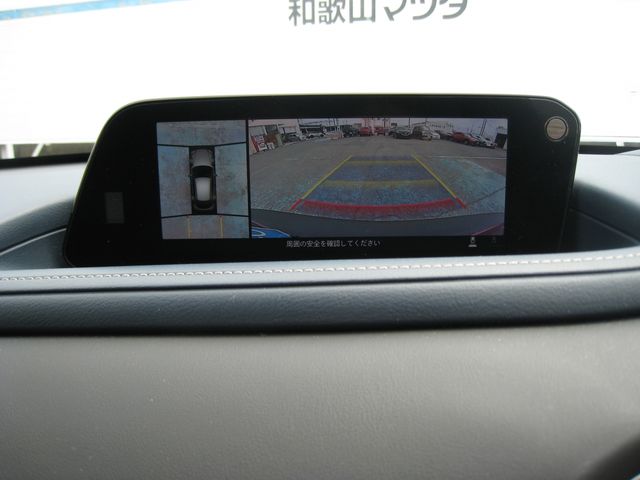 CX-30