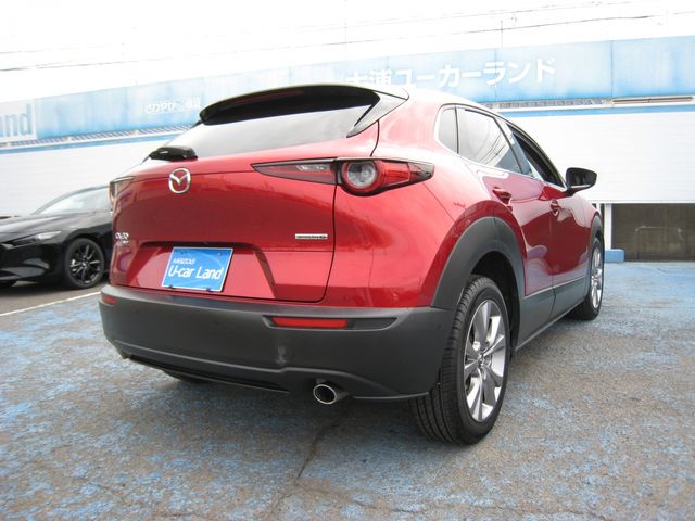 CX-30