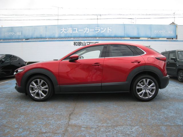 CX-30