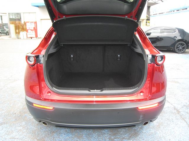 CX-30