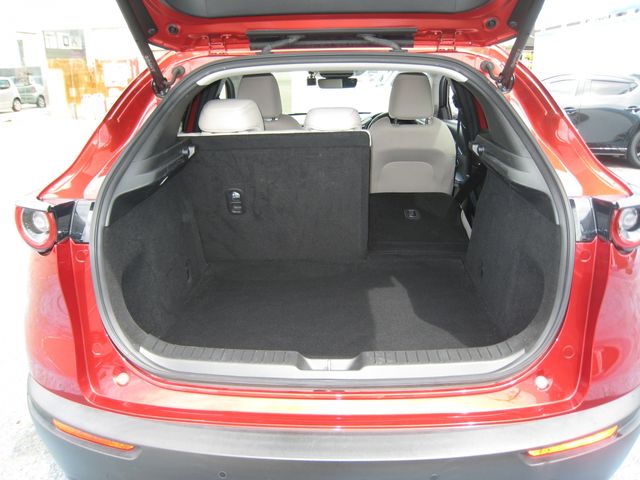 CX-30