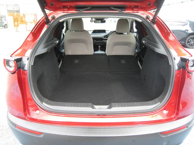 CX-30