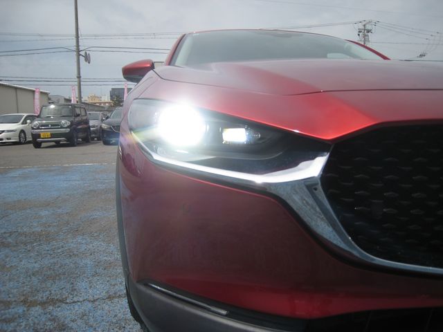 CX-30